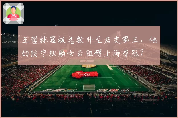 王哲林篮板总数升至历史第三，他的防守软肋会否阻碍上海夺冠？