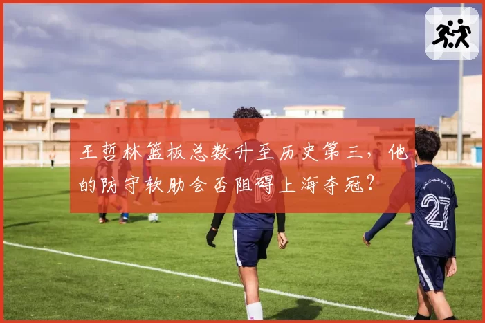 王哲林篮板总数升至历史第三，他的防守软肋会否阻碍上海夺冠？
